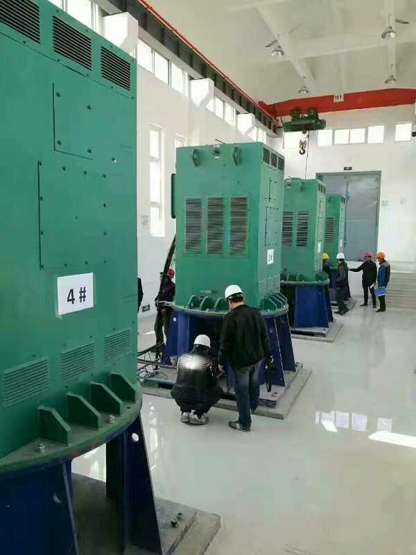 东港某污水处理厂使用我厂的立式高压电机安装现场